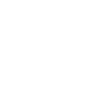 Magnifying Glass icon.