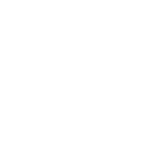 Computer chip icon.